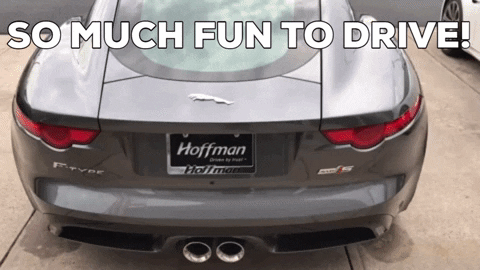 CHGHealthcare giphygifmaker GIF