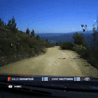 Wrc GIF by FIA World Rally Championship