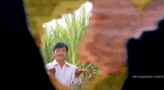 Indian Cinema Style GIF