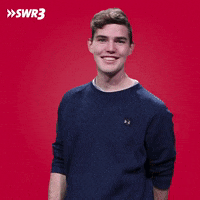 Stop Wtf GIF by SWR3