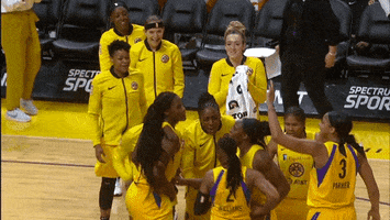 excited los angeles GIF by WNBA