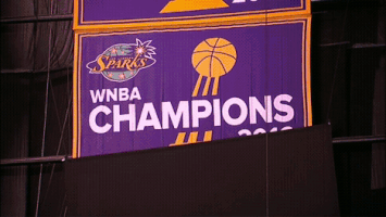winning los angeles GIF by WNBA