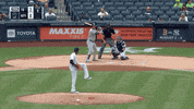 Jomboy  GIF