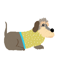 Dog Dachshund Sticker