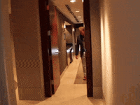 big cat el pres GIF by Barstool Sports