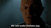 fox broadcasting heroes rise GIF by Gotham
