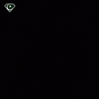 World Cup Football GIF