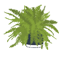 Plant Sticker
