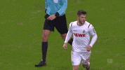 1 Fc Cologne Football GIF by 1. FC Köln