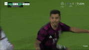 Liga Mx Football GIF by MiSelecciónMX
