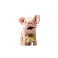 Pig Cerdo Sticker by Gusto Entertainment