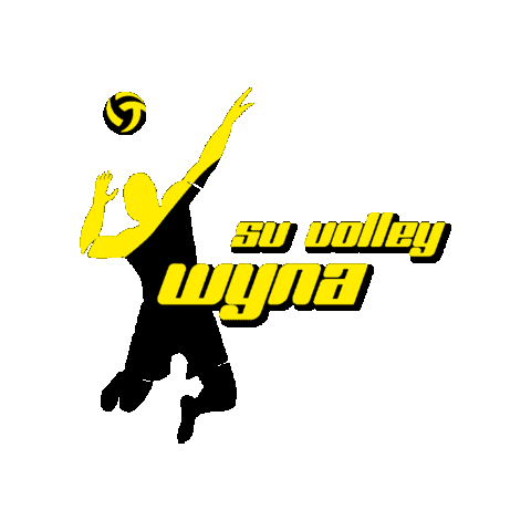 Volleyball Switzerland Sticker