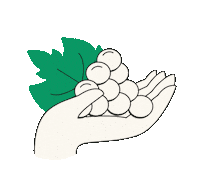 Planeta Sticker by Família Salton