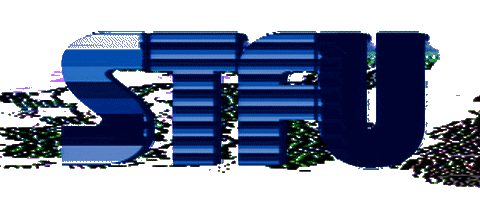 Art Glitch Sticker