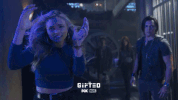 the gifted fox GIF