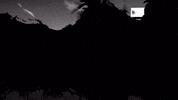 GIF by Saber Interactive