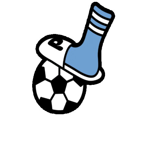 pilohotels giphygifmaker soccer foot pilo Sticker