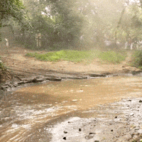 Safari Rally Kenya GIF by FIA World Rally Championship