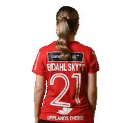 Floorball Salibandy Sticker by Storvreta IBK
