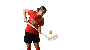 Floorball Salibandy Sticker by Storvreta IBK