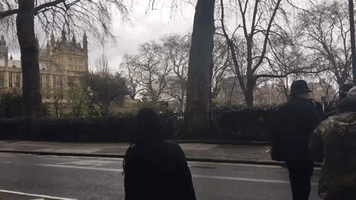 UK Parliament on Lockdown Following Westminster Bridge 'Terrorist' Incident
