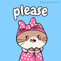 Cat Love GIF by Silly Kitties