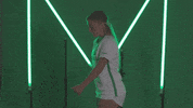 Lets Go Dance GIF by Marshall University Athletics