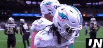 Miami Dolphins Penguin GIF by The Undroppables