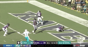 Miami Dolphins Football GIF by NFL