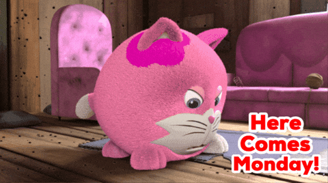 Angry Cat GIF by HangryPetz