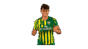 Liga Nos Sticker by CD Tondela
