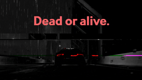 CodysCarConundrum giphygifmaker GIF