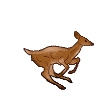 Deer Running Sticker by Contextual.Matters