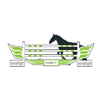 Horseflight hf flyinghorse horsejumping greenwing Sticker