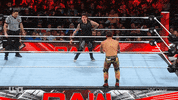 Wwe Wrestling GIF by USA Network