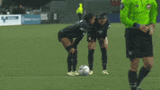 Womens Soccer Talk GIF by National Women's Soccer League