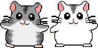 hamster dancing STICKER