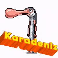 Karadeniz GIF