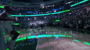 Nba Playoffs Sport GIF by NBA