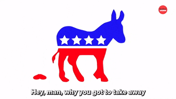 Because You're Politicians