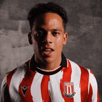 Manhoef GIF by stokecity