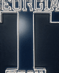 Georgia Tech Baseball GIF by Georgia Tech Yellow Jackets
