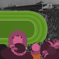 history d GIF