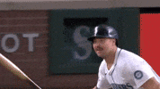 Celebrate Home Run GIF by MLB