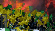 voetbal GIF by FOX Sports