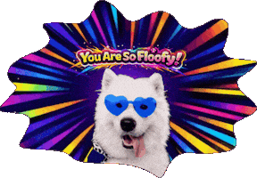 Benji Dolce Sticker