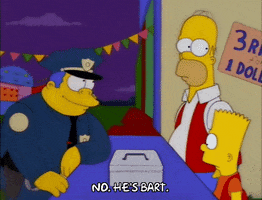 homer simpson GIF