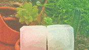 pattern vibes GIF