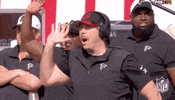 National Football League GIF by NFL
