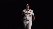 University Of Louisville Baseball GIF by Louisville Cardinals